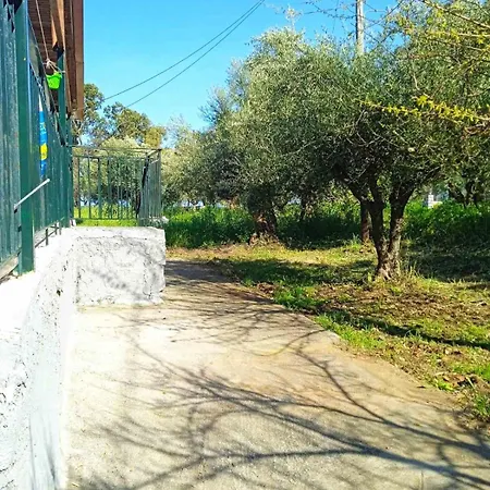Niki's House