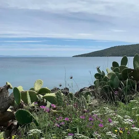 Hébergement de vacances Niki's House Gythio